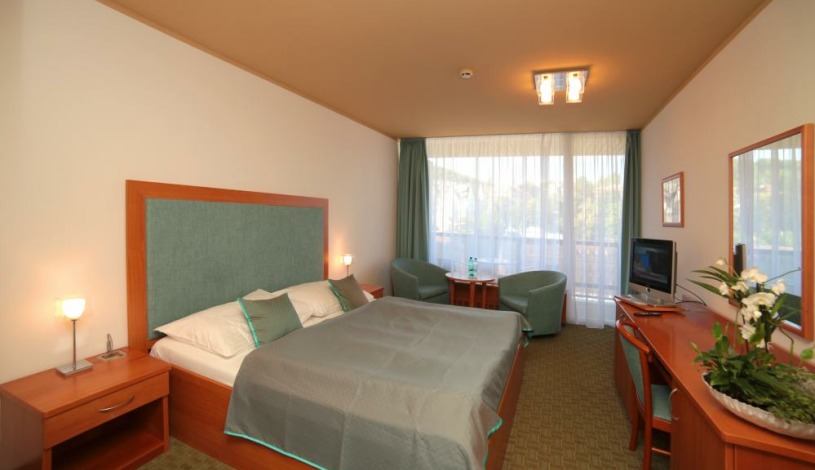 SPA HOTEL THERMAL**** Karlovy Vary - Dvoulůžkový pokoj